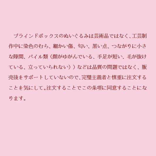 ❗ご購入前の注意事項
